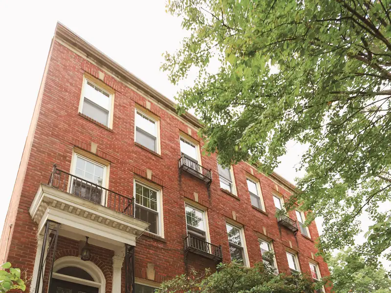 Brick multi-unit apartment building with iron balconies behind a shade tree